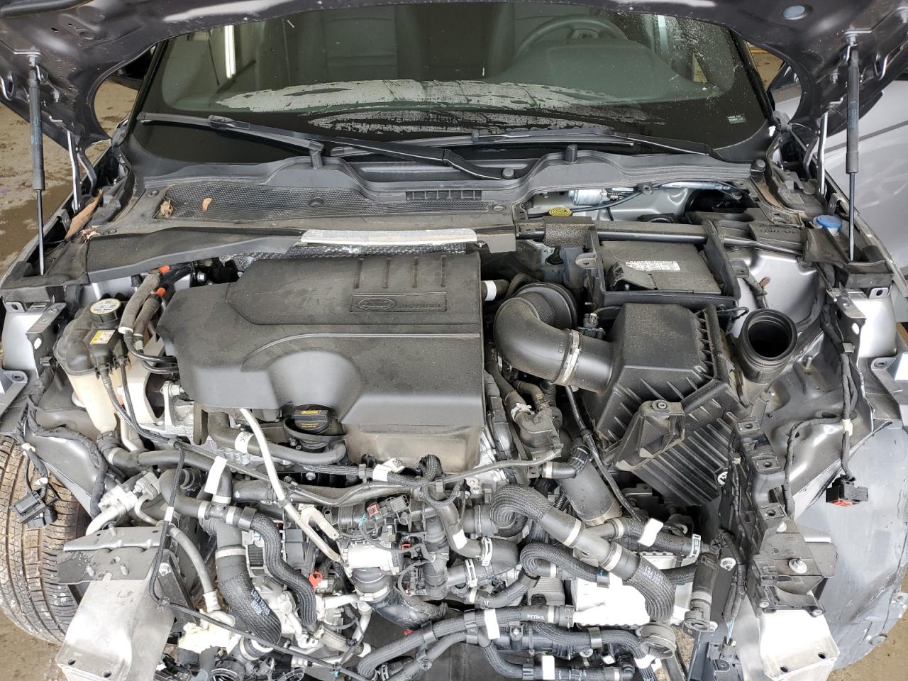 2024 Land Rover Range Rover Evoque Dynamic Se VIN: SALZL2FX9RH234272 Lot: 67218125