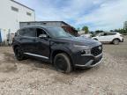 2022 HYUNDAI SANTA FE SEL   à vendre chez Copart QC - MONTREAL