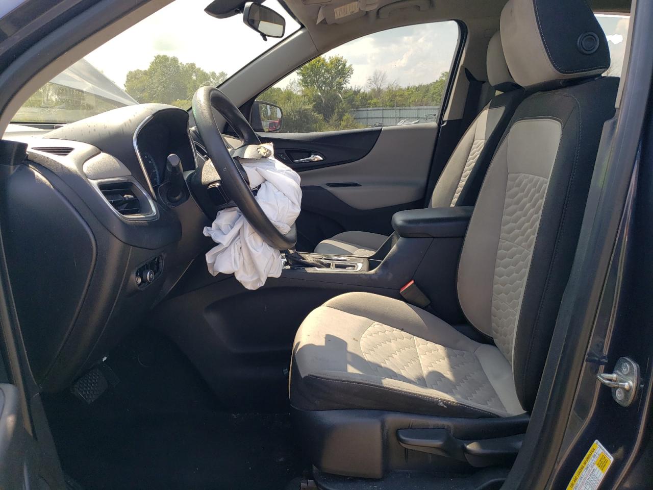 2018 Chevrolet Equinox Ls VIN: 3GNAXHEV8JS621670 Lot: 69202355