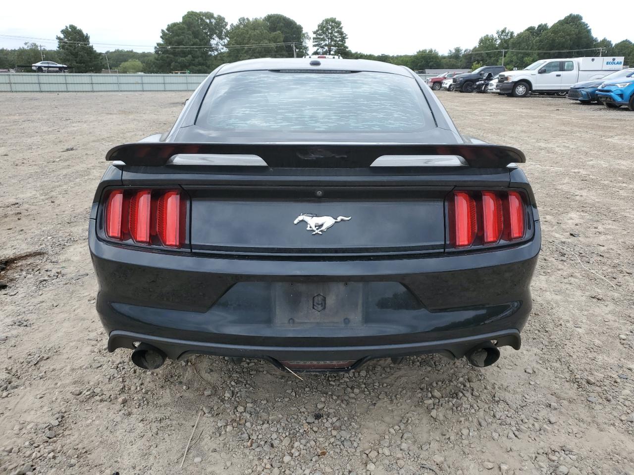 2017 Ford Mustang VIN: 1FA6P8TH4H5263568 Lot: 70140625