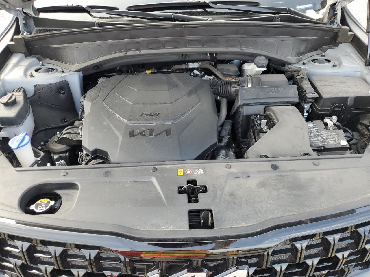 2024 Kia Telluride Sx VIN: 5XYP5DGC1RG436287 Lot: 70754275