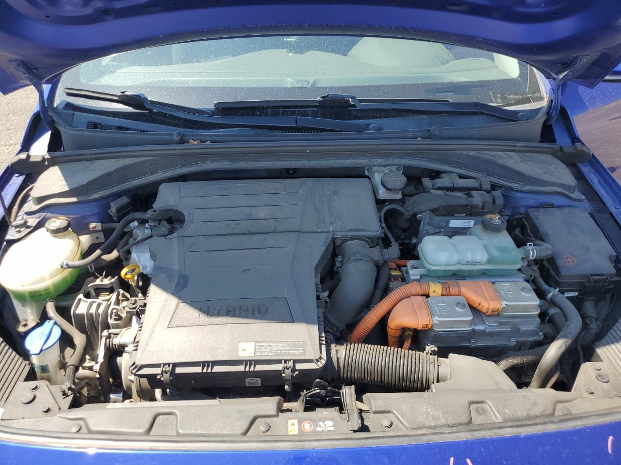 KMHC65LC6KU179392 2019 Hyundai Ioniq Blue