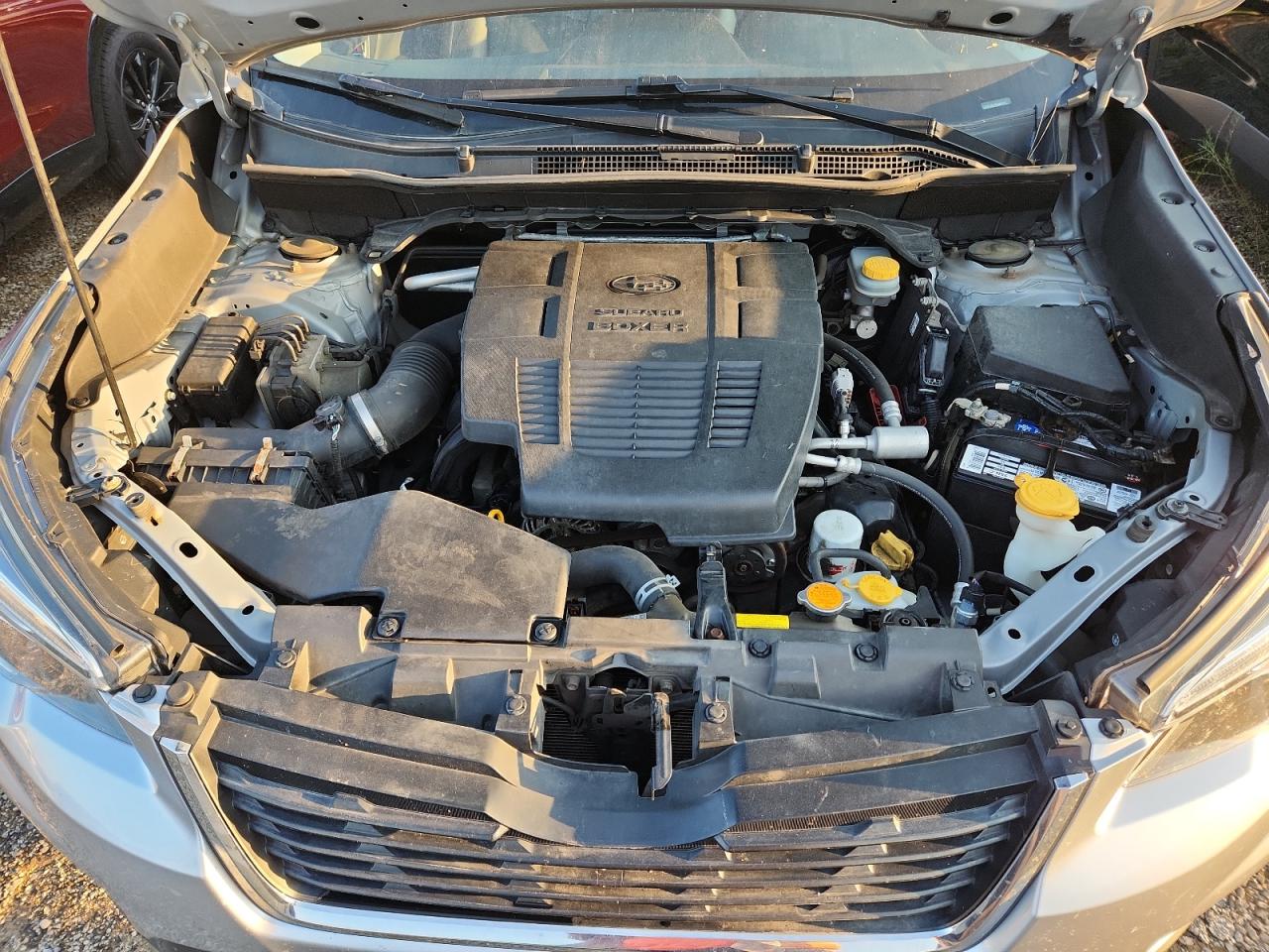 2019 Subaru Forester Limited VIN: JF2SKASC7KH441873 Lot: 68767245