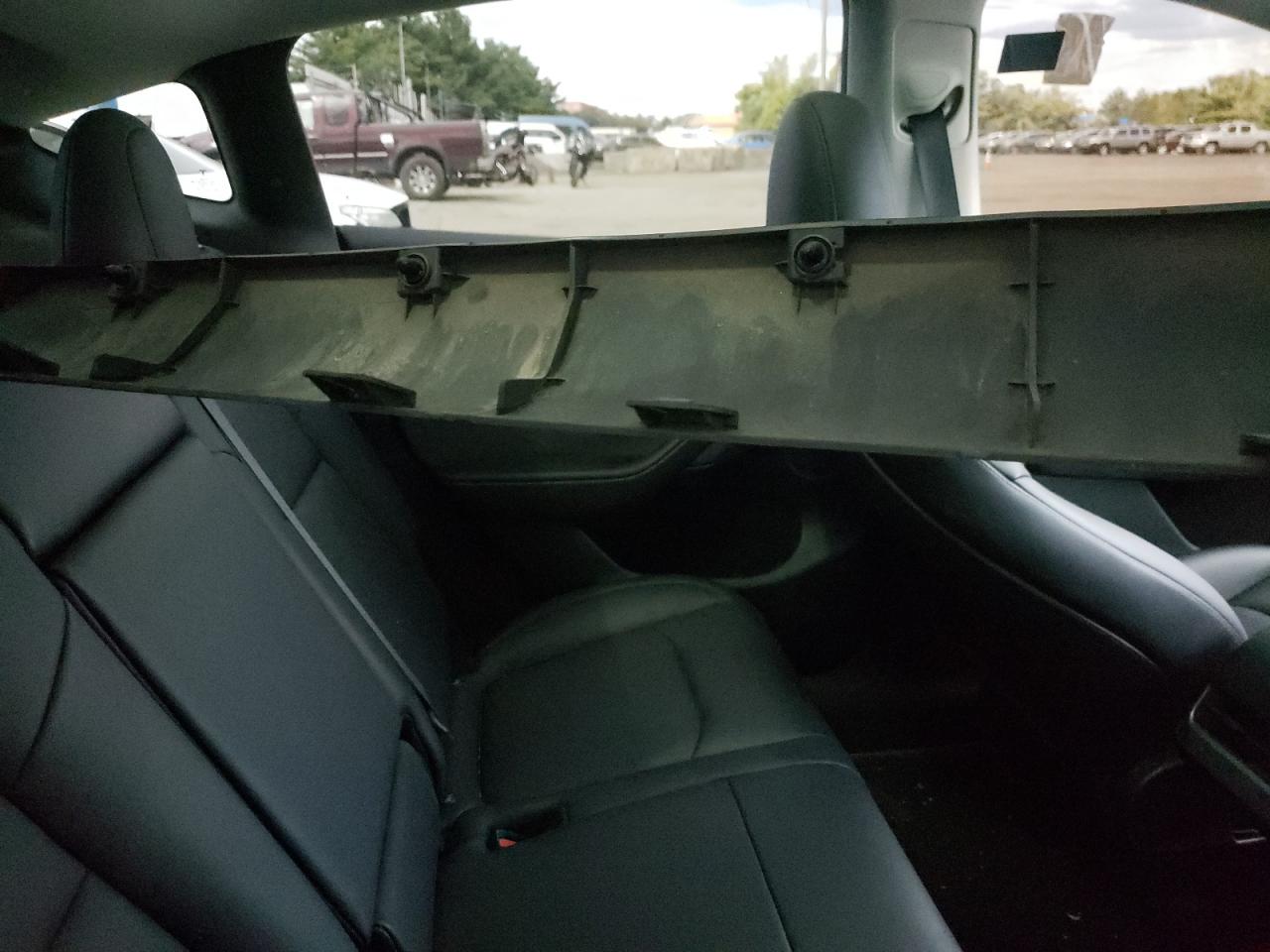 2023 Tesla Model Y VIN: 7SAYGDEE0PA123562 Lot: 70549515