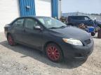 2009 TOYOTA COROLLA BASE   for sale at Copart NS - HALIFAX
