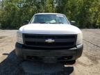 2008 CHEVROLET SILVERADO C1500   à vendre chez Copart ON - COOKSTOWN