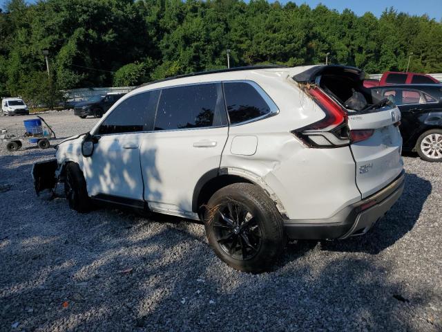  HONDA CRV 2024 Белы