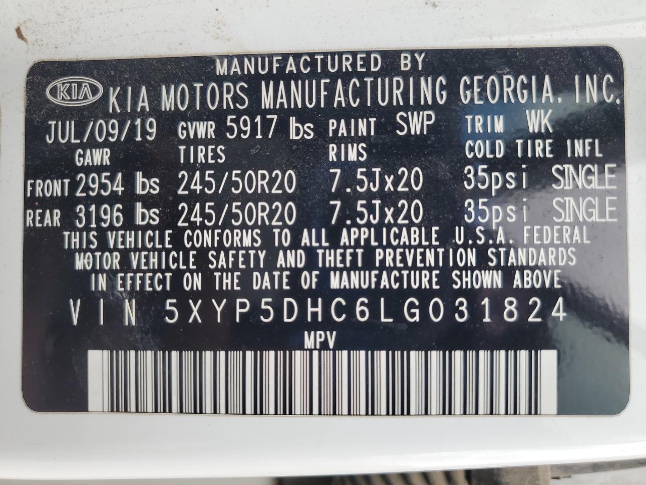 2020 Kia Telluride Sx VIN: 5XYP5DHC6LG031824 Lot: 66364385