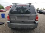 2011 FORD ESCAPE XLT   à vendre chez Copart ON - LONDON