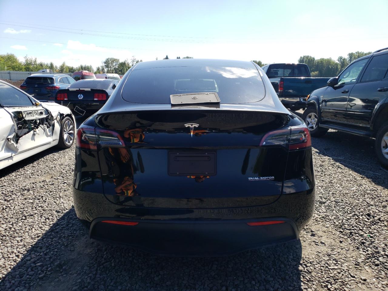 2023 Tesla Model Y VIN: 7SAYGDEF2PF903266 Lot: 67630385