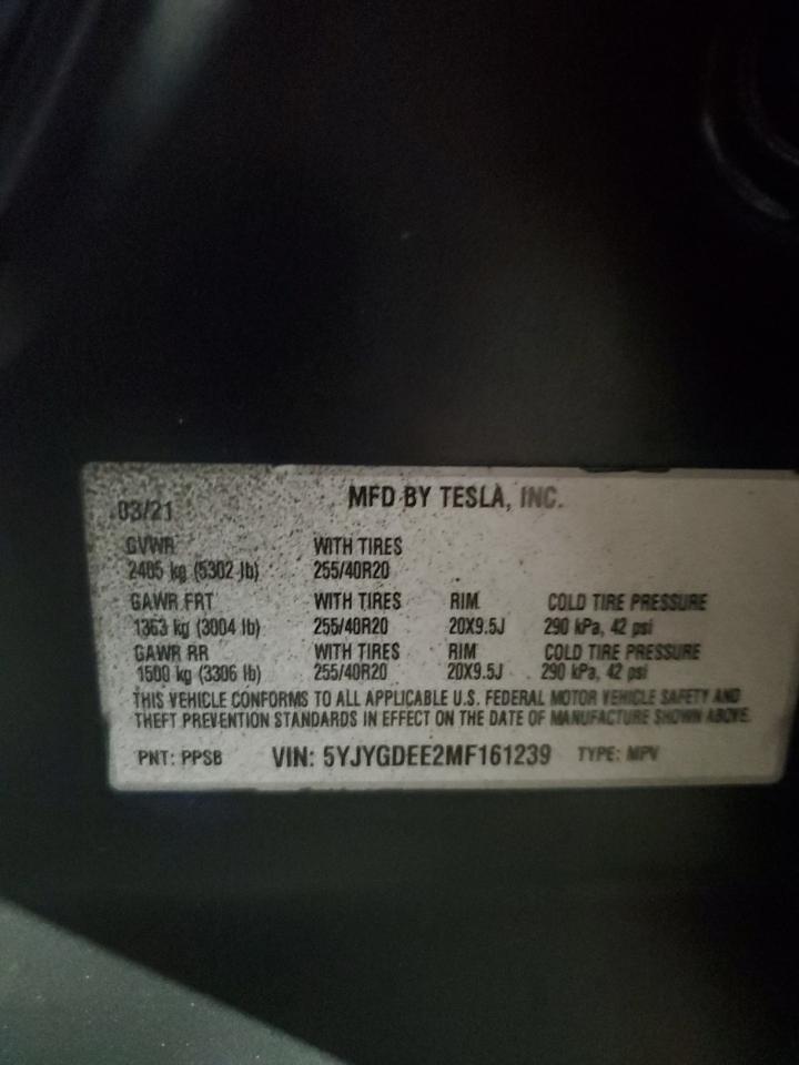 161239 2021 Tesla Model Y