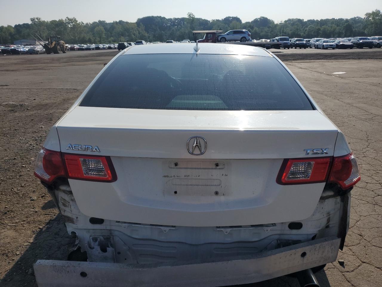 2010 Acura Tsx VIN: JH4CU2F61AC017946 Lot: 93960405