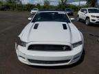 2014 FORD MUSTANG GT   à vendre chez Copart QC - MONTREAL