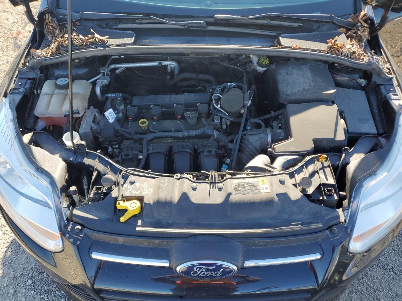 2013 Ford Focus Se VIN: 1FADP3K24DL170417 Lot: 69630525