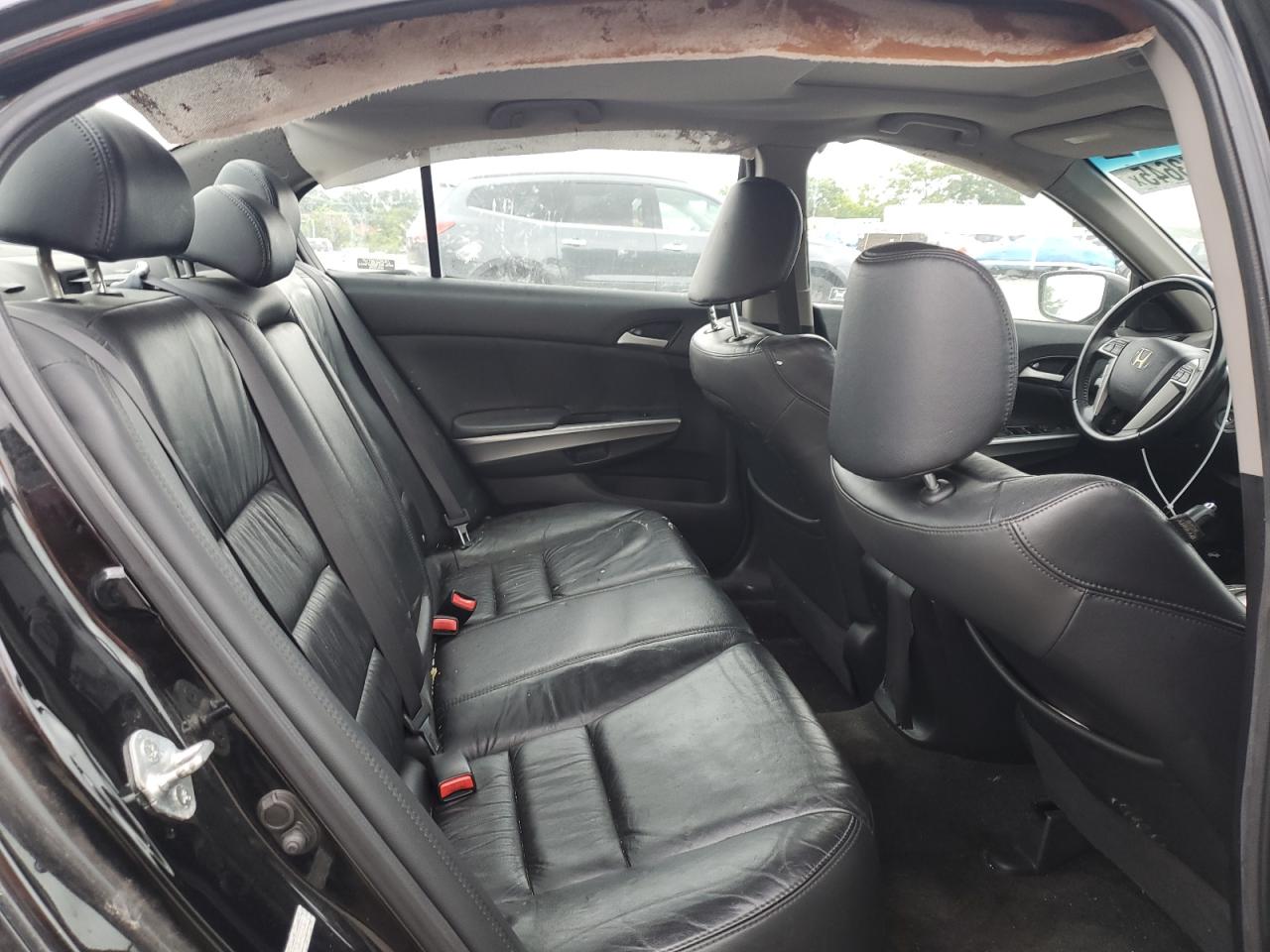 2009 Honda Accord Exl VIN: 1HGCP26869A014561 Lot: 68543645