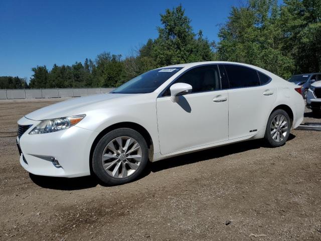 2014 LEXUS ES 300H   à vendre chez Copart ON - COOKSTOWN
