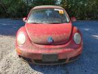 2006 VOLKSWAGEN NEW BEETLE CONVERTIBLE OPTION PACKAGE 1   for sale at Copart WA - NORTH SEATTLE