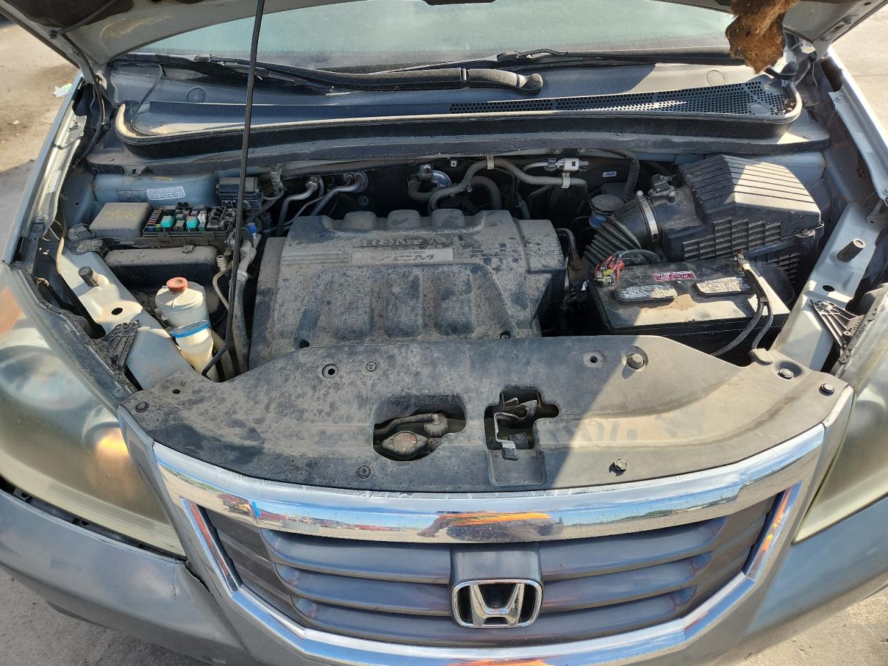 2009 Honda Odyssey Exl VIN: 5FNRL387X9B000250 Lot: 69869475