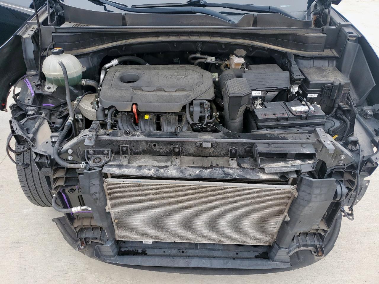 2020 Kia Sportage Lx VIN: KNDPM3ACXL7803763 Lot: 70655815