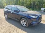 2020 TOYOTA RAV4 XLE   à vendre chez Copart ON - COOKSTOWN