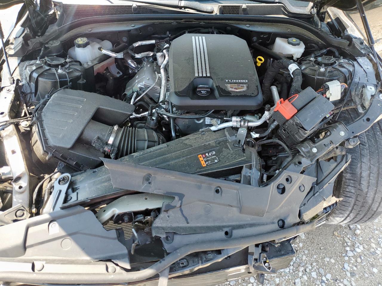 2024 Cadillac Ct5 Luxury VIN: 1G6DW5RK9R0110952 Lot: 69763535