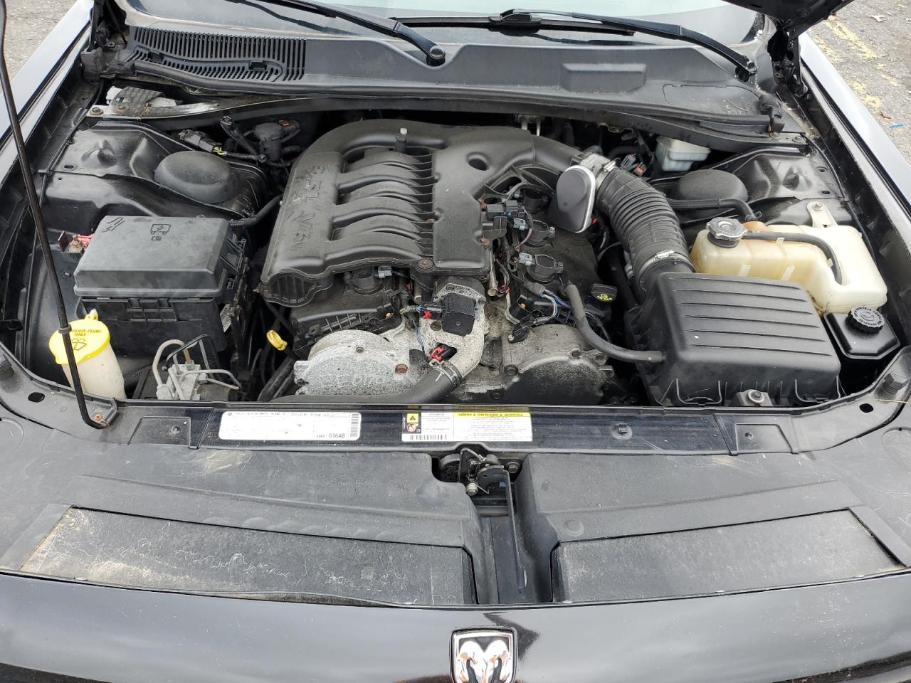 2010 Dodge Challenger Se VIN: 2B3CJ4DV9AH260953 Lot: 67105825