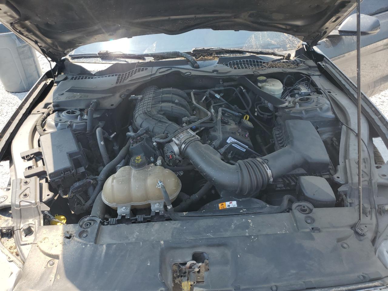 2016 Ford Mustang VIN: 1FATP8EM8G5247305 Lot: 67548155