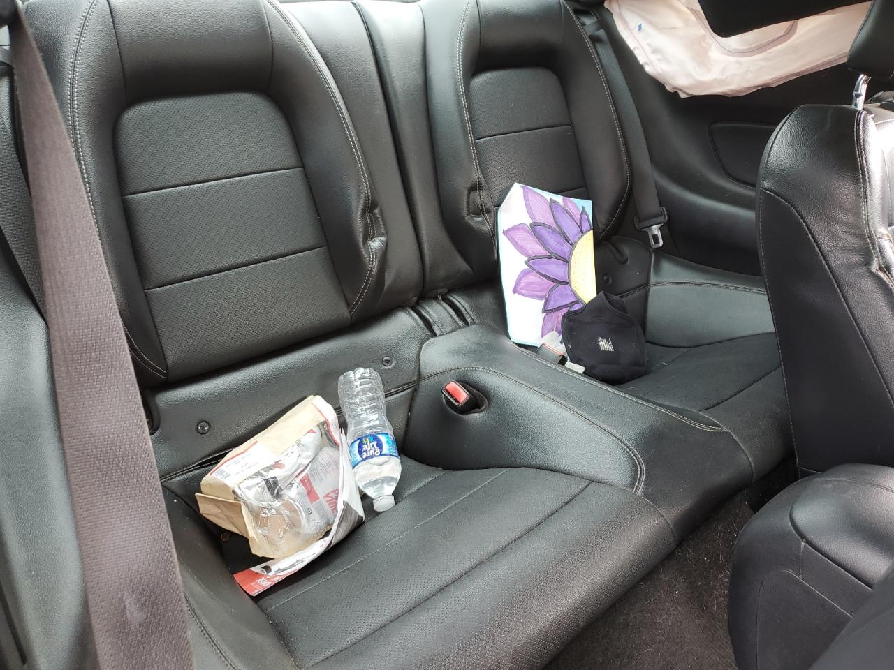 2017 Ford Mustang VIN: 1FA6P8TH4H5263568 Lot: 70140625