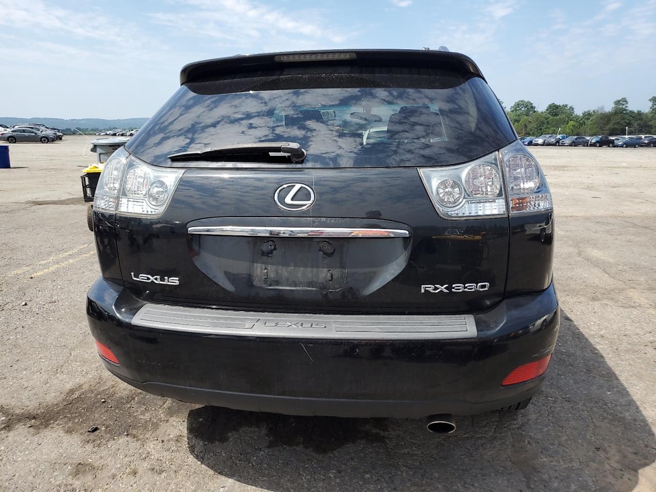 2004 Lexus Rx 330 VIN: JTJGA31U240041456 Lot: 68419755