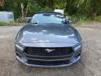 2025 FORD MUSTANG    for sale at Copart MA - NORTH BOSTON