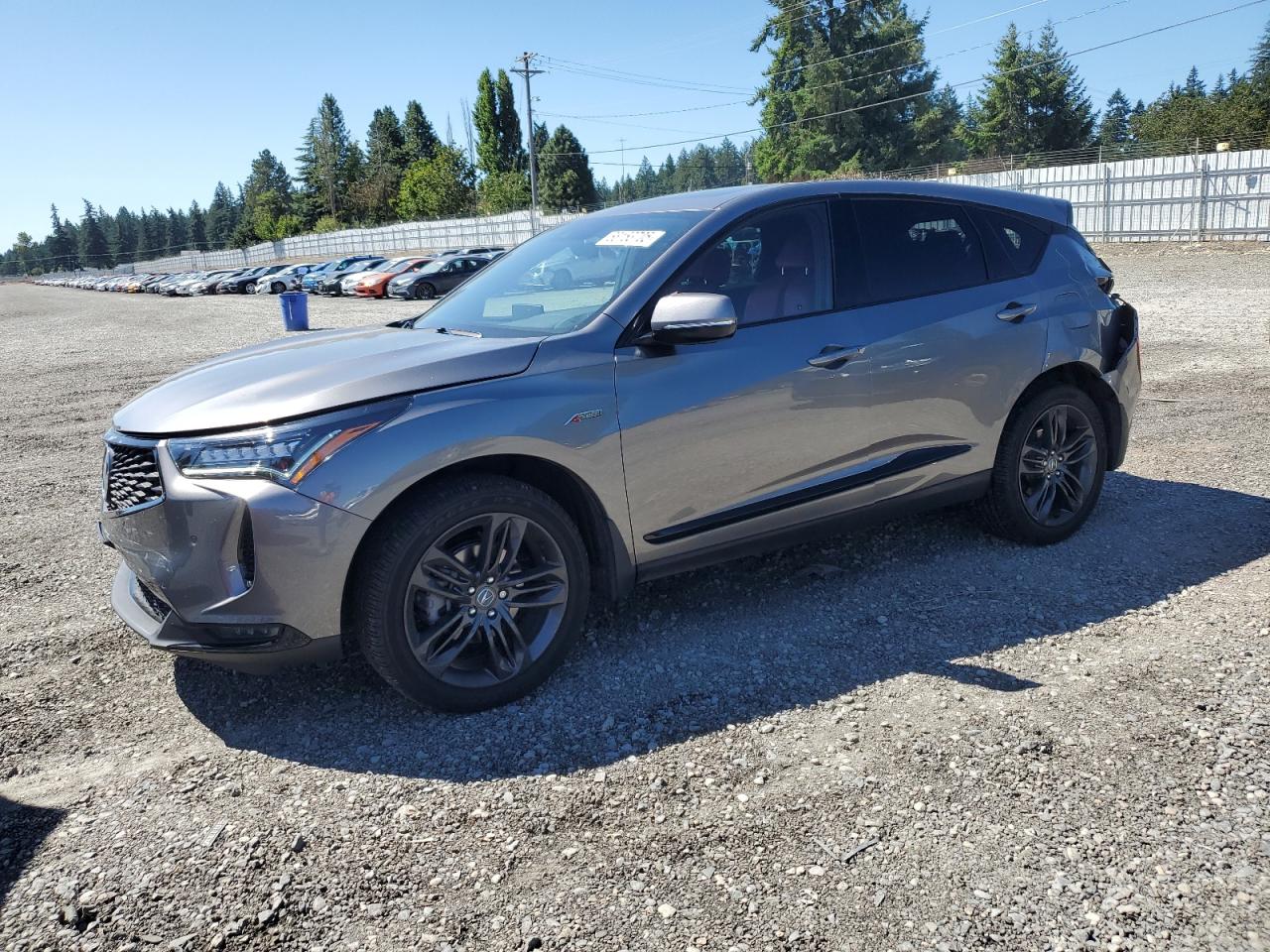 2025 ACURA RDX A-SPEC ADVANCE | 5J8TC2H81SL008282