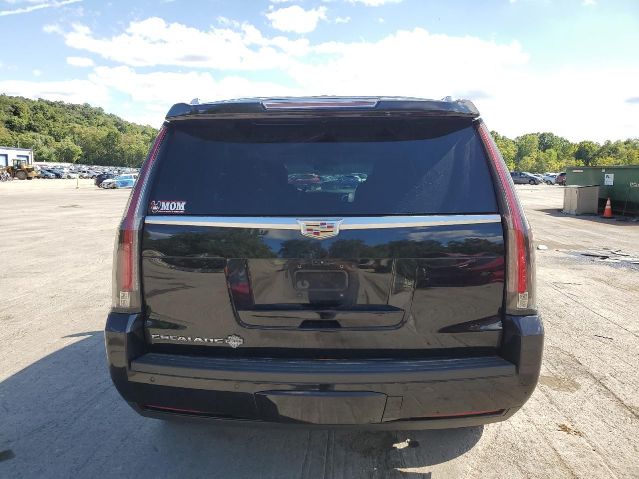 2019 Cadillac Escalade Premium Luxury VIN: 1GYS4CKJ8KR343233 Lot: 71106505