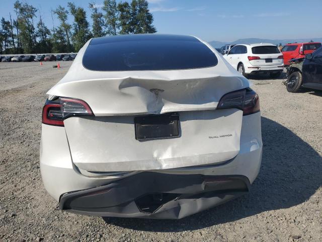  TESLA MODEL Y 2023 White