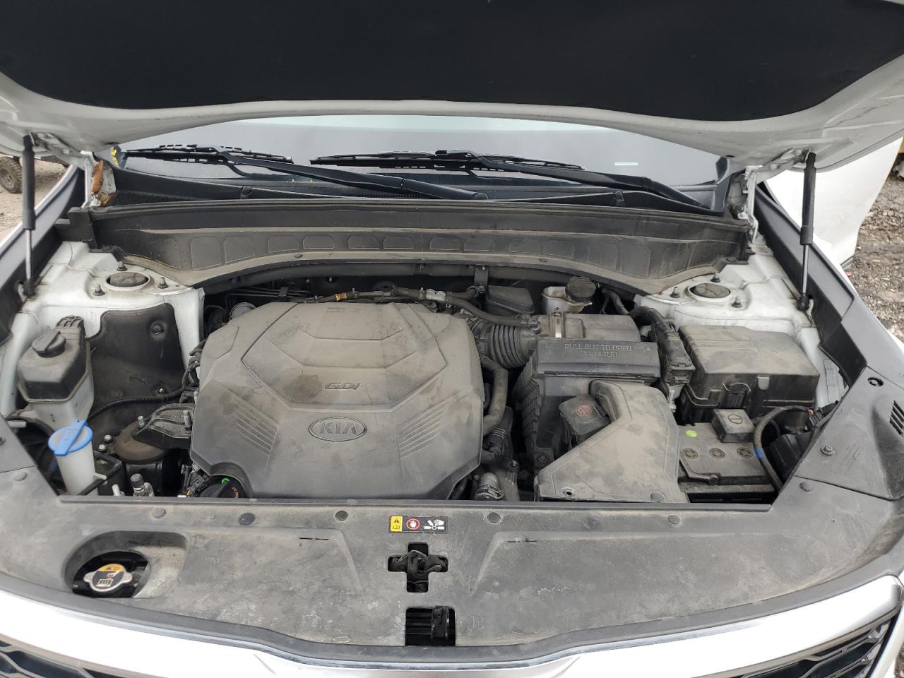 2020 Kia Telluride Ex VIN: 5XYP34HC4LG001484 Lot: 69583945