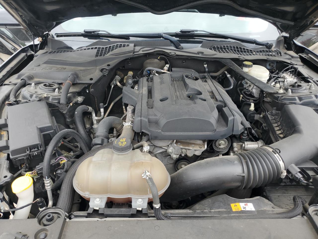 2017 Ford Mustang VIN: 1FA6P8TH7H5332592 Lot: 69362485