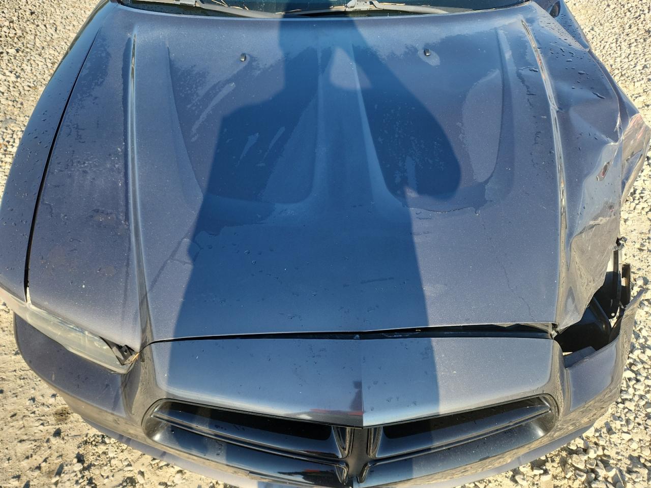 2014 Dodge Charger Sxt VIN: 2C3CDXHG1EH363491 Lot: 70119715