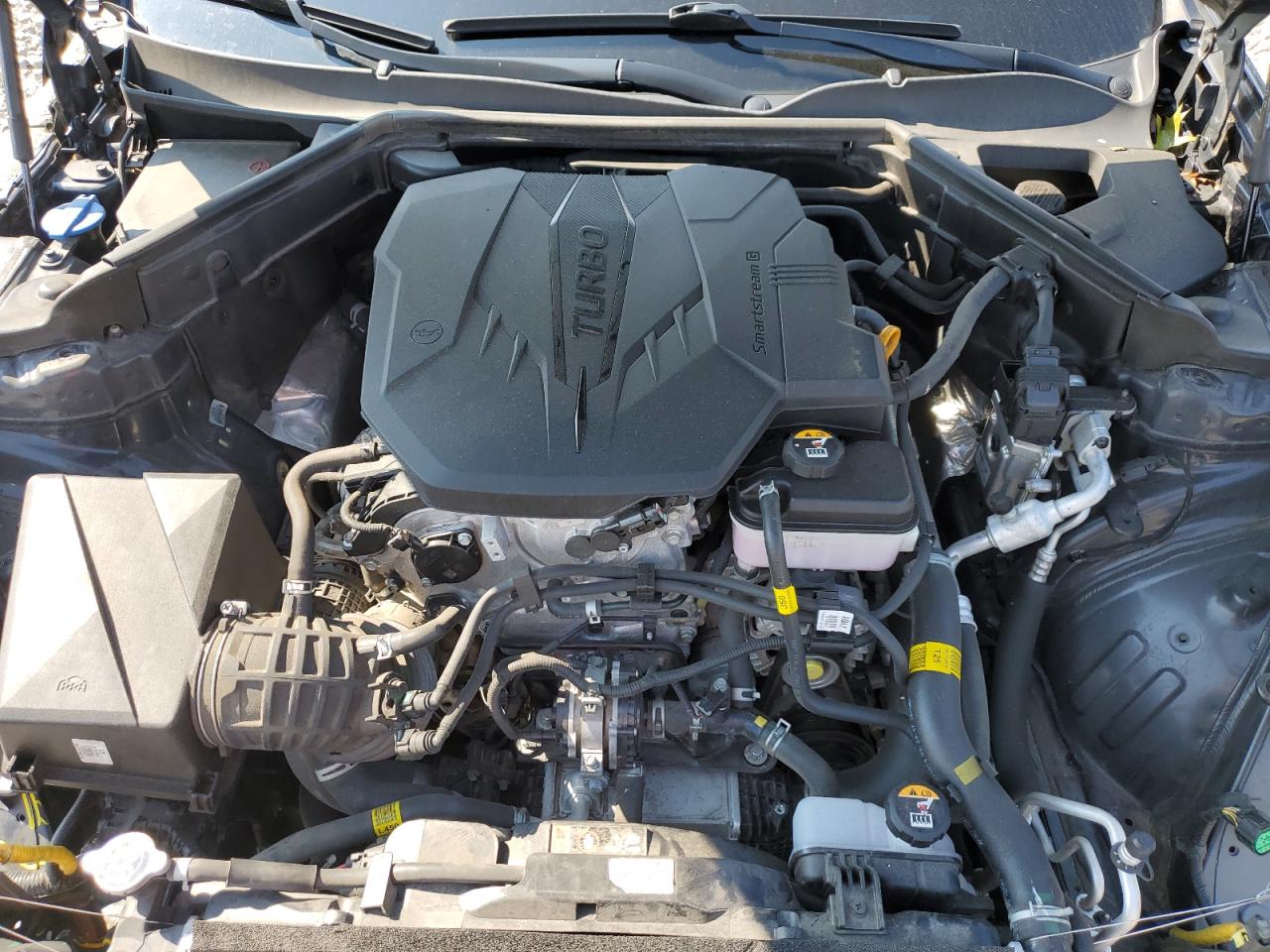 2022 Kia Stinger Gt Line VIN: KNAE35LD0N6110217 Lot: 67771175