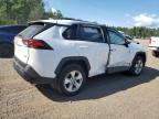 2021 TOYOTA RAV4 XLE   for sale at Copart ON - COOKSTOWN