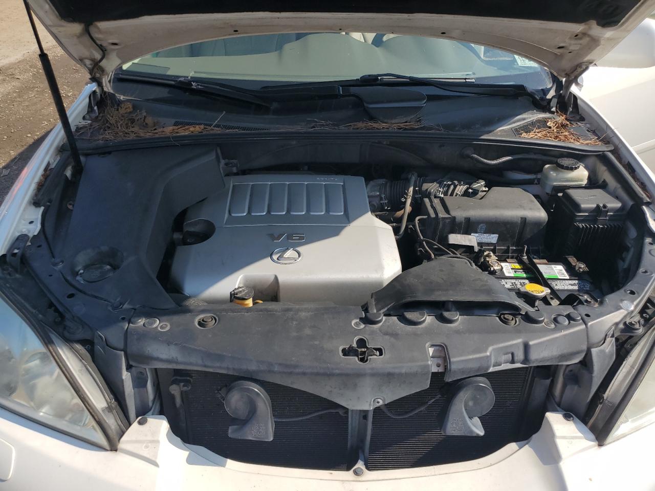 2007 Lexus Rx 350 VIN: 2T2GK31U07C026167 Lot: 66038265