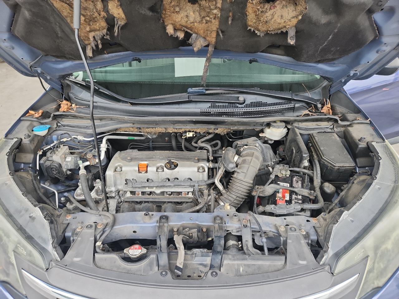 2013 Honda Cr-V Lx VIN: 2HKRM4H3XDH668222 Lot: 67650205