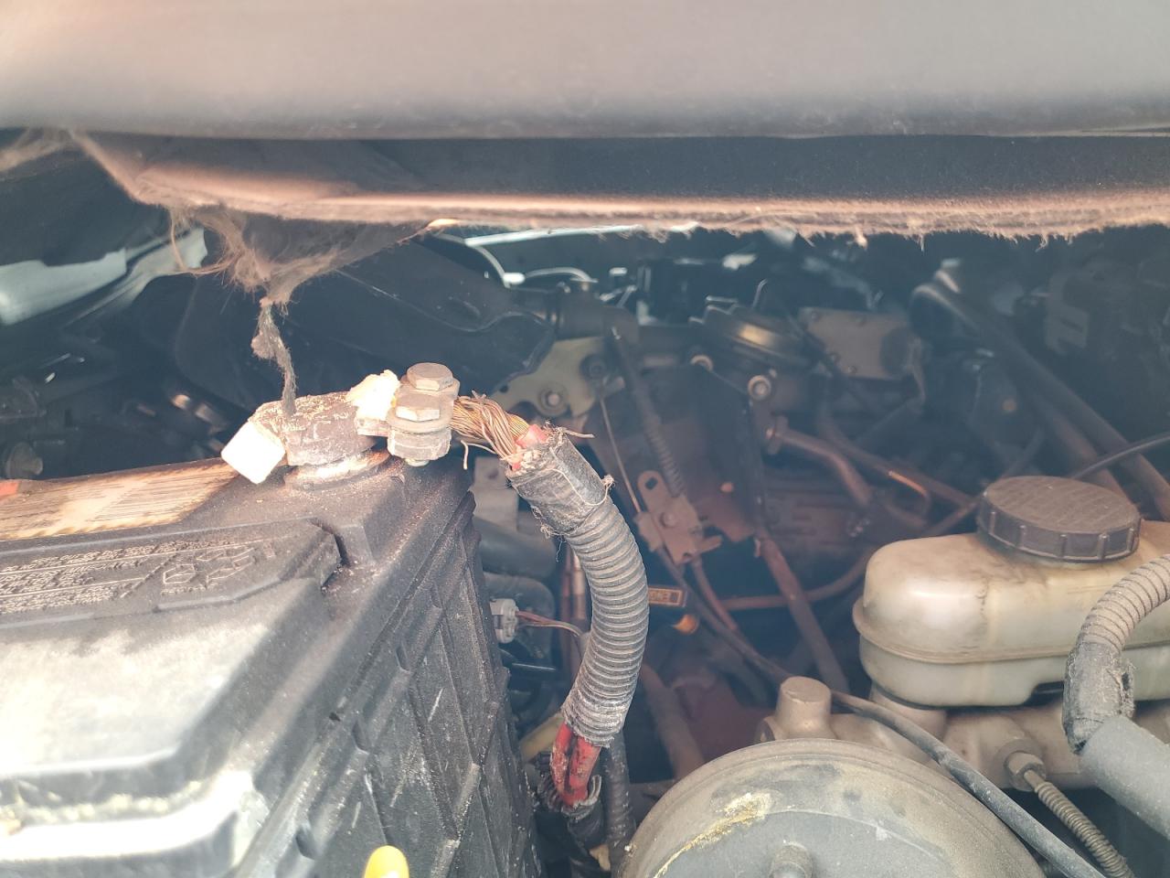 1997 Ford Ranger VIN: 1FTCR14U6VPA98083 Lot: 70129265