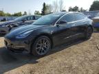 2019 TESLA MODEL 3    for sale at Copart ON - TORONTO