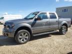 2014 FORD F150 SUPERCREW   for sale at Copart AB - EDMONTON
