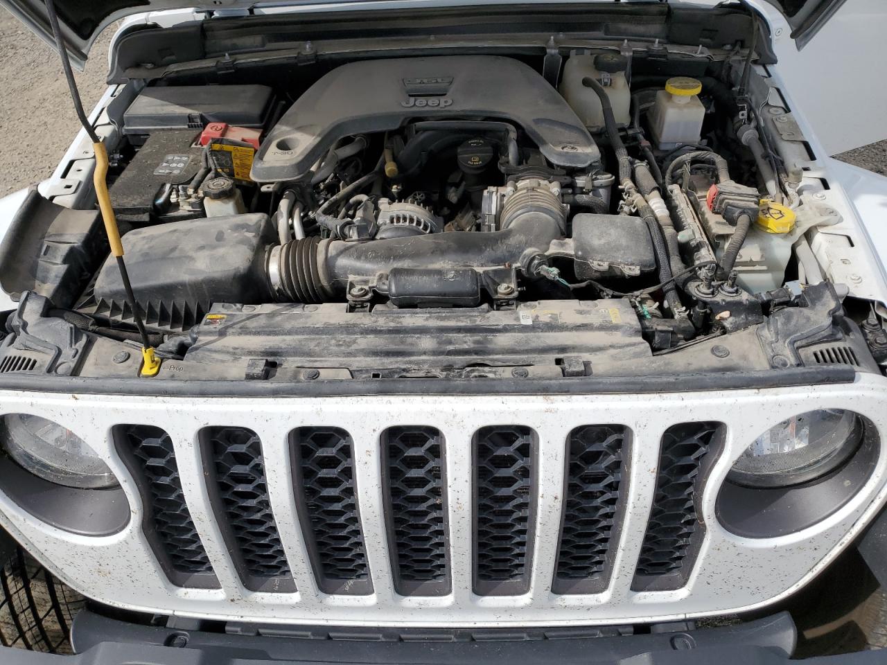 2021 Jeep Gladiator Sport VIN: 1C6HJTAG6ML519904 Lot: 67687665