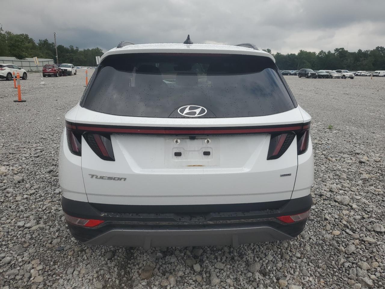 2022 Hyundai Tucson Limited VIN: KM8JECAE2NU129161 Lot: 69764145