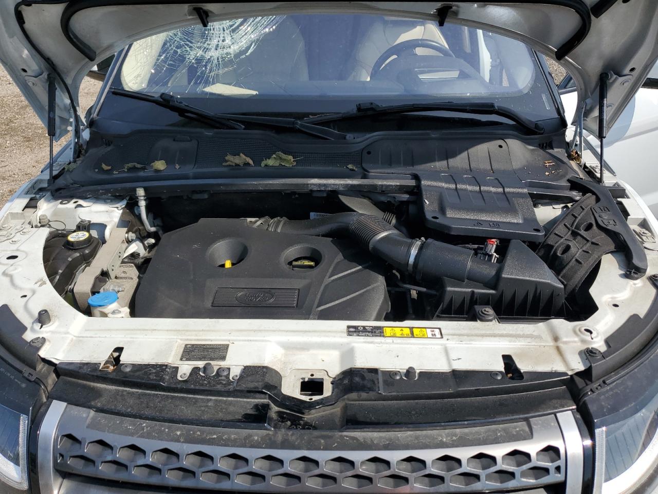 2017 Land Rover Range Rover Evoque Hse VIN: SALVR2BG9HH206313 Lot: 67974405