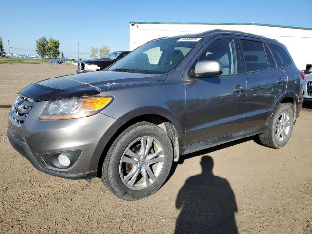 2011 HYUNDAI SANTA FE GLS   à vendre chez Copart AB - CALGARY