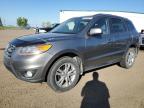2011 HYUNDAI SANTA FE GLS   à vendre chez Copart AB - CALGARY