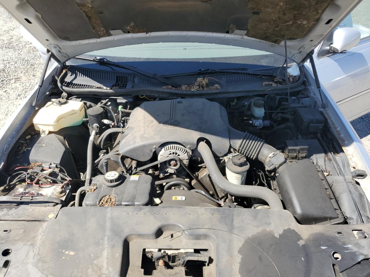 2002 Lincoln Town Car Cartier VIN: 1LNHM83W92Y609433 Lot: 69147145