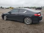 2013 HONDA ACCORD EX   à vendre chez Copart ON - LONDON